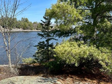 TBD Kabetogama Lake W, Kabetogama, MN 56669