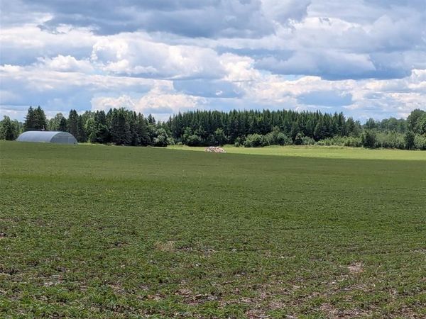 N4180 Wilderness Road, Glen Flora, WI 54526