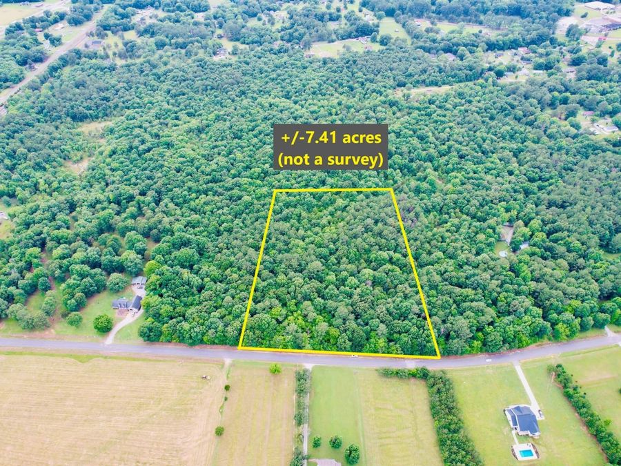 Property Image 7
