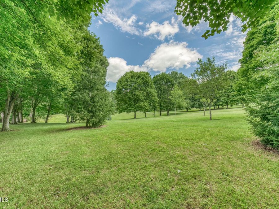 Property Image 113
