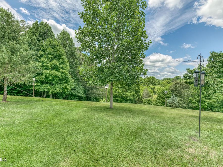 Property Image 131