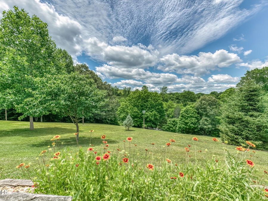 Property Image 132