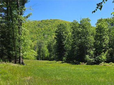 Lillibridge Rd, Olean, NY 14760