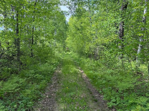TBD Range Line Rd, Kerrick, MN 55756