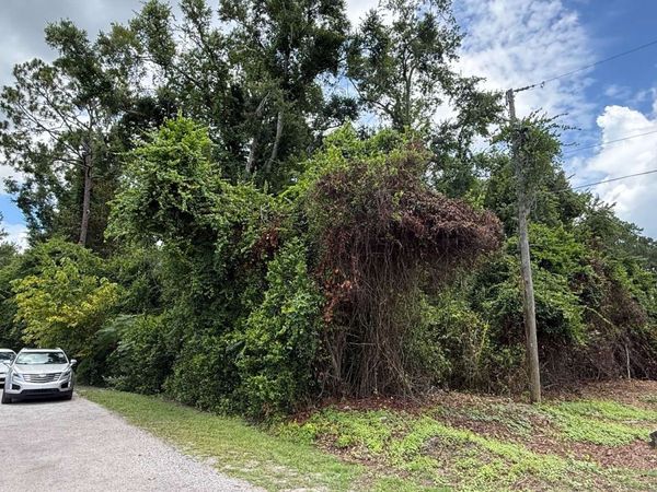 617 NW HARPERS PLACE, Lake City, FL 32055