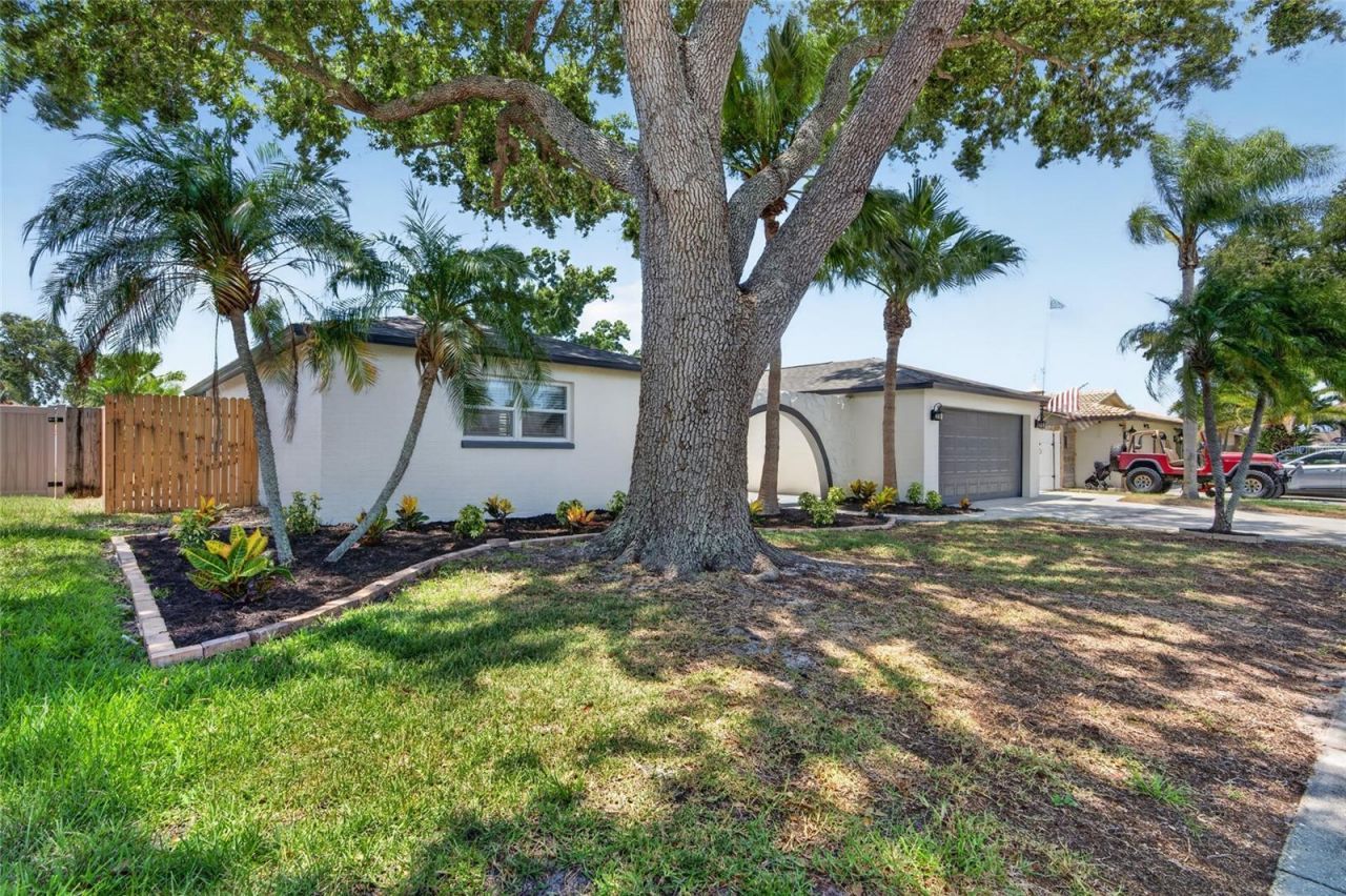 12114 Rhonda Terrace, Seminole, FL 33772 Photo
