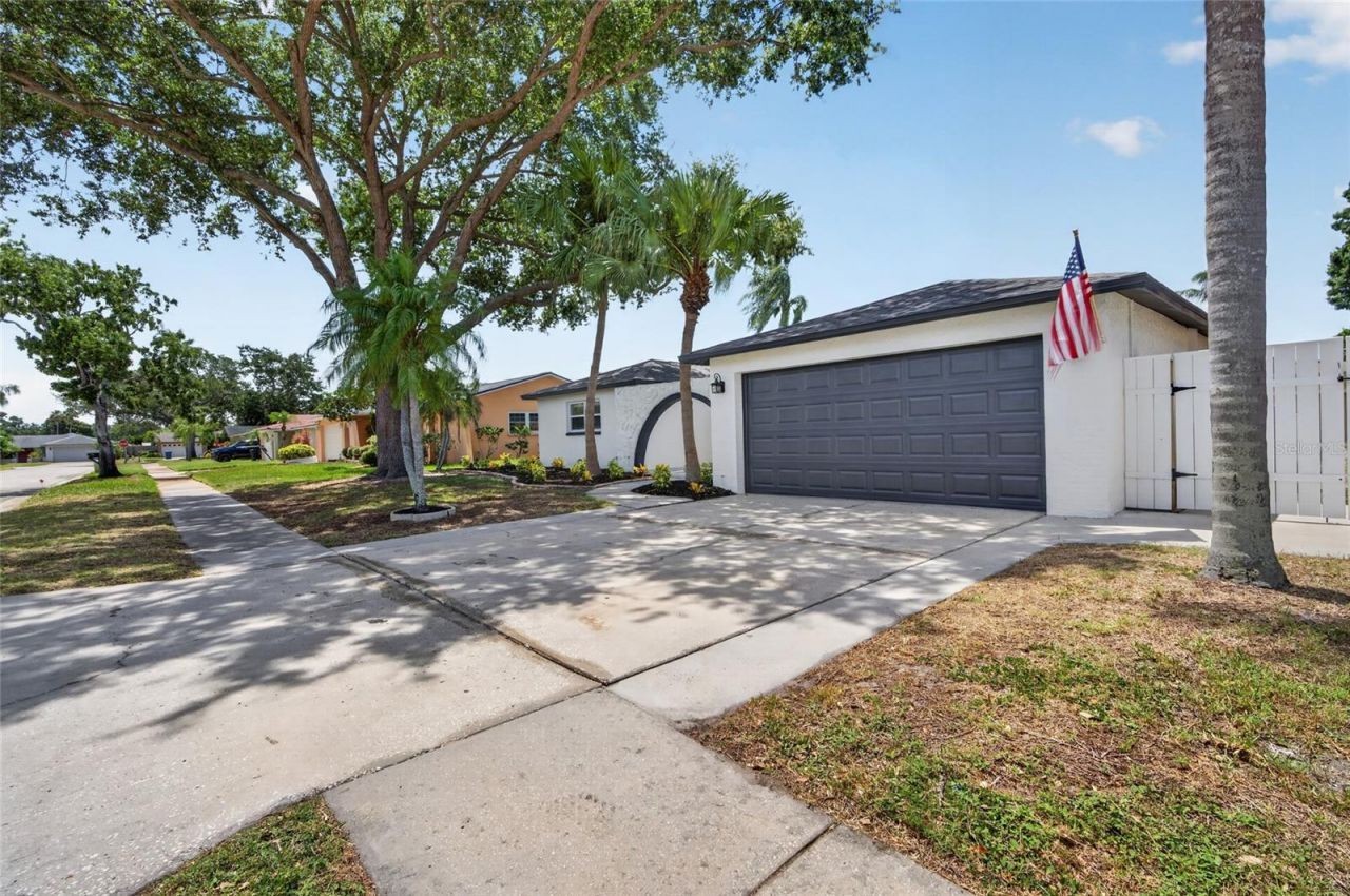 12114 Rhonda Terrace, Seminole, FL 33772 Photo