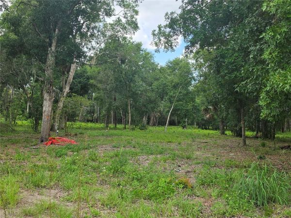 180 OAK DRIVE , OSTEEN, FL 32764