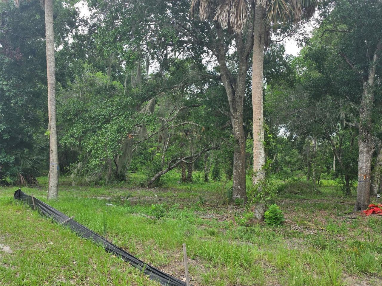 180 Oak Drive , Osteen, FL 32764 Photo