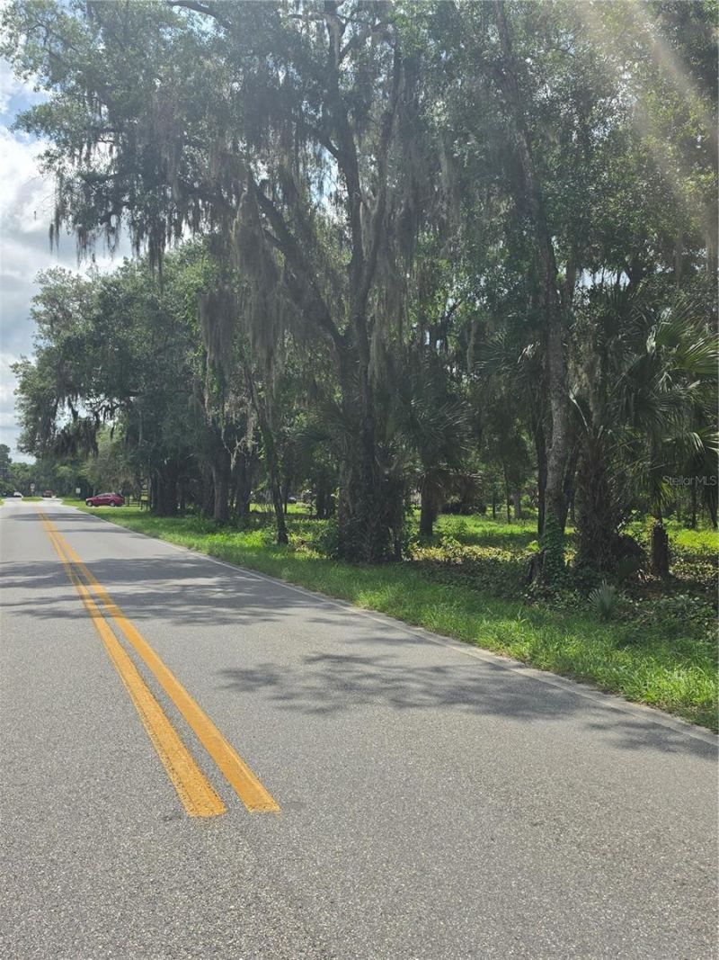 180 Oak Drive , Osteen, FL 32764 Photo