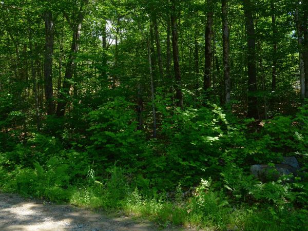 Scott Drive, Unit Lot 112, Alton, NH 03810