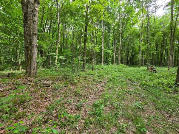 0 Fox Mine Rd , Jackson Center, PA 16133
