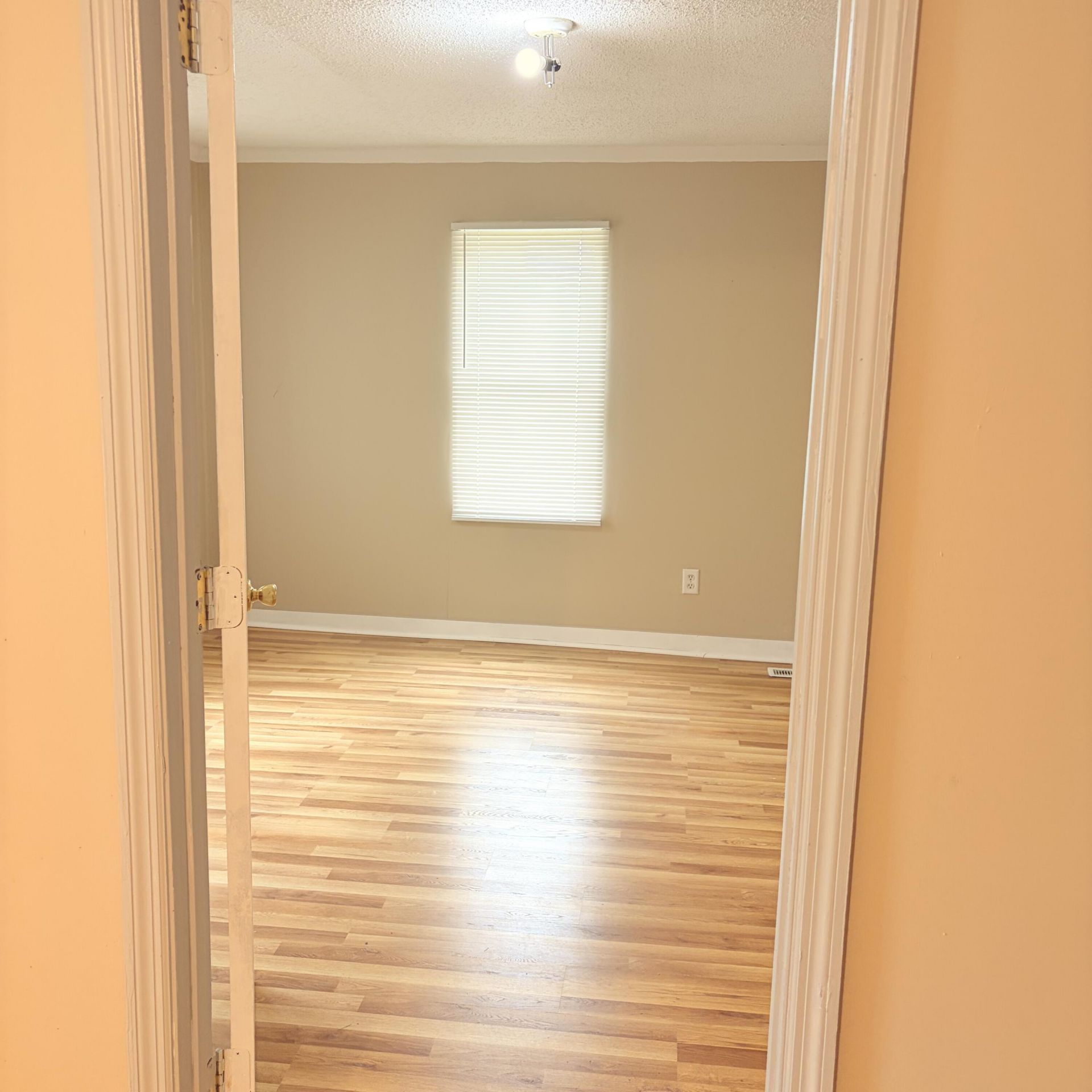 1147 Boiling Springs Road Photo 18