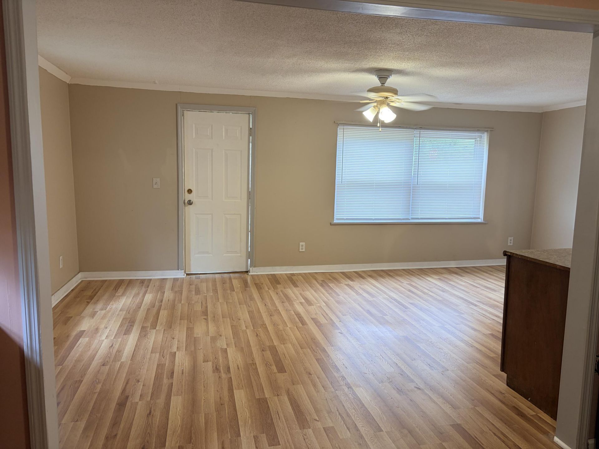 1147 Boiling Springs Road Photo 43