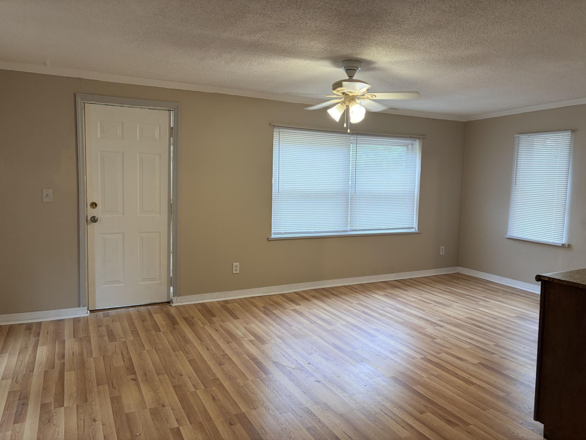 1147 Boiling Springs Road Photo 44