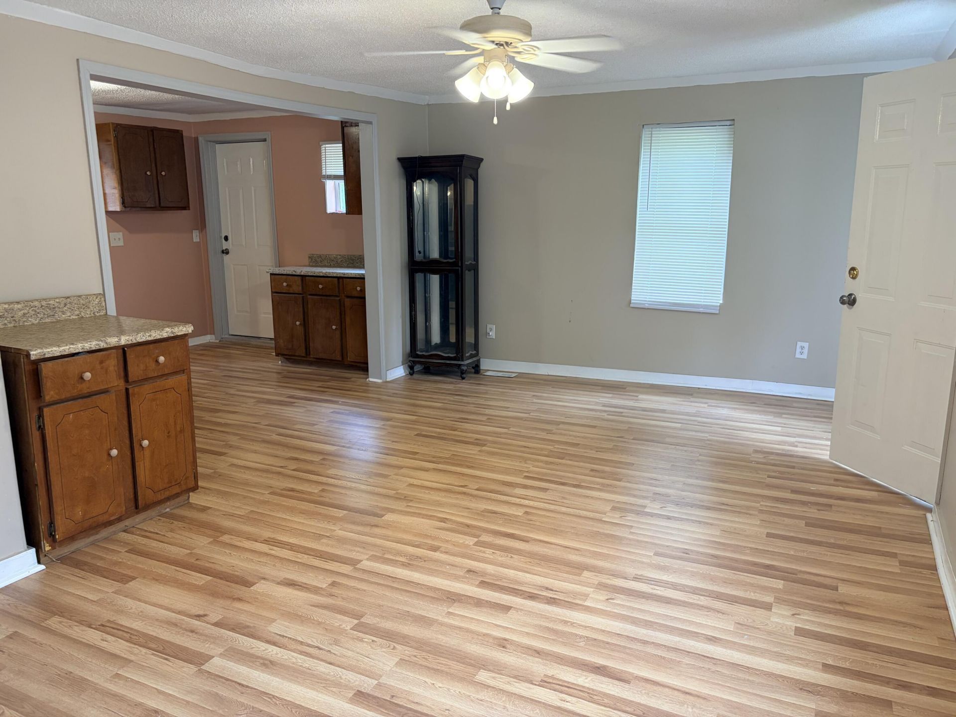 1147 Boiling Springs Road Photo 46