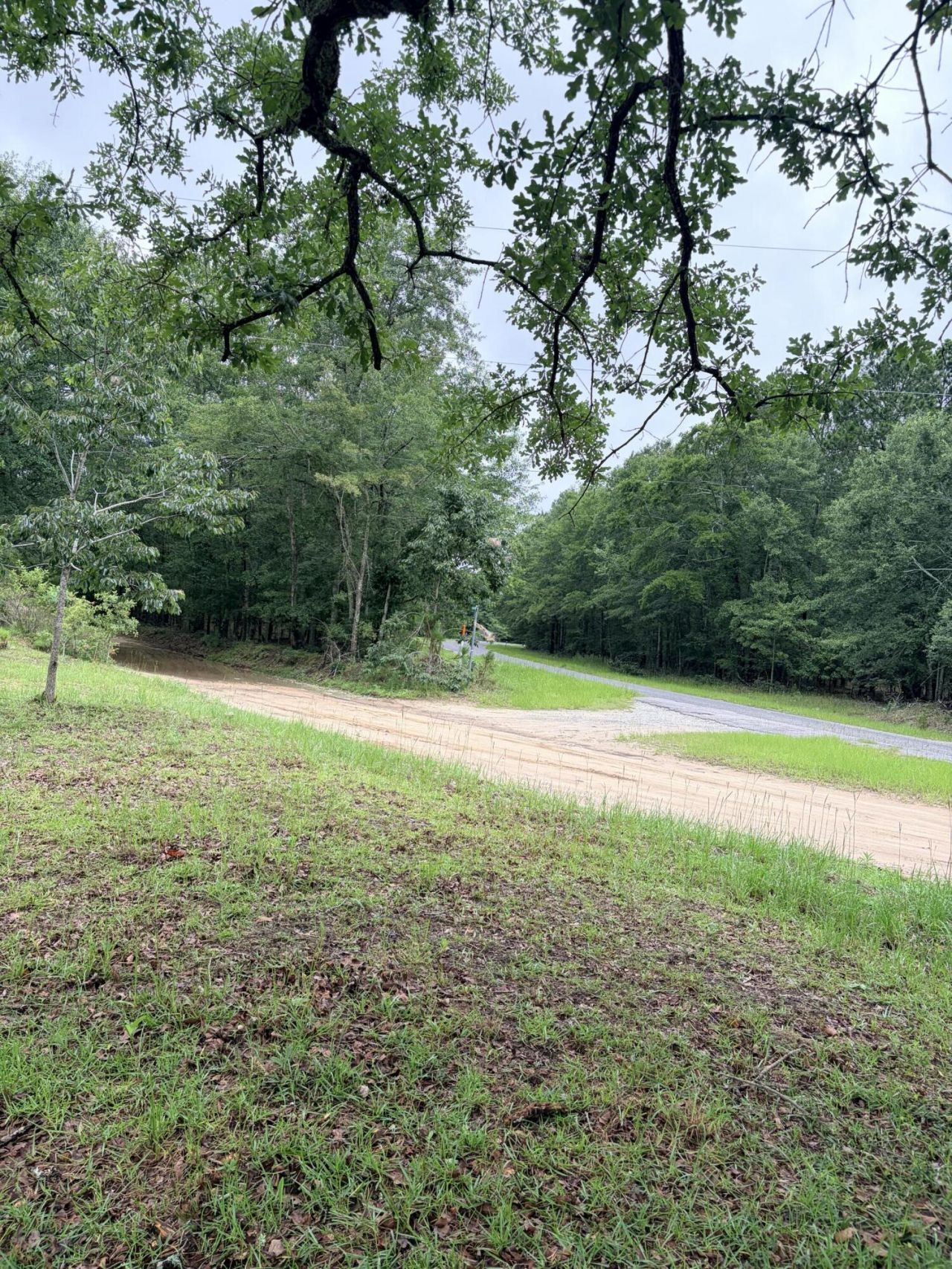 1147 Boiling Springs Road Photo 49