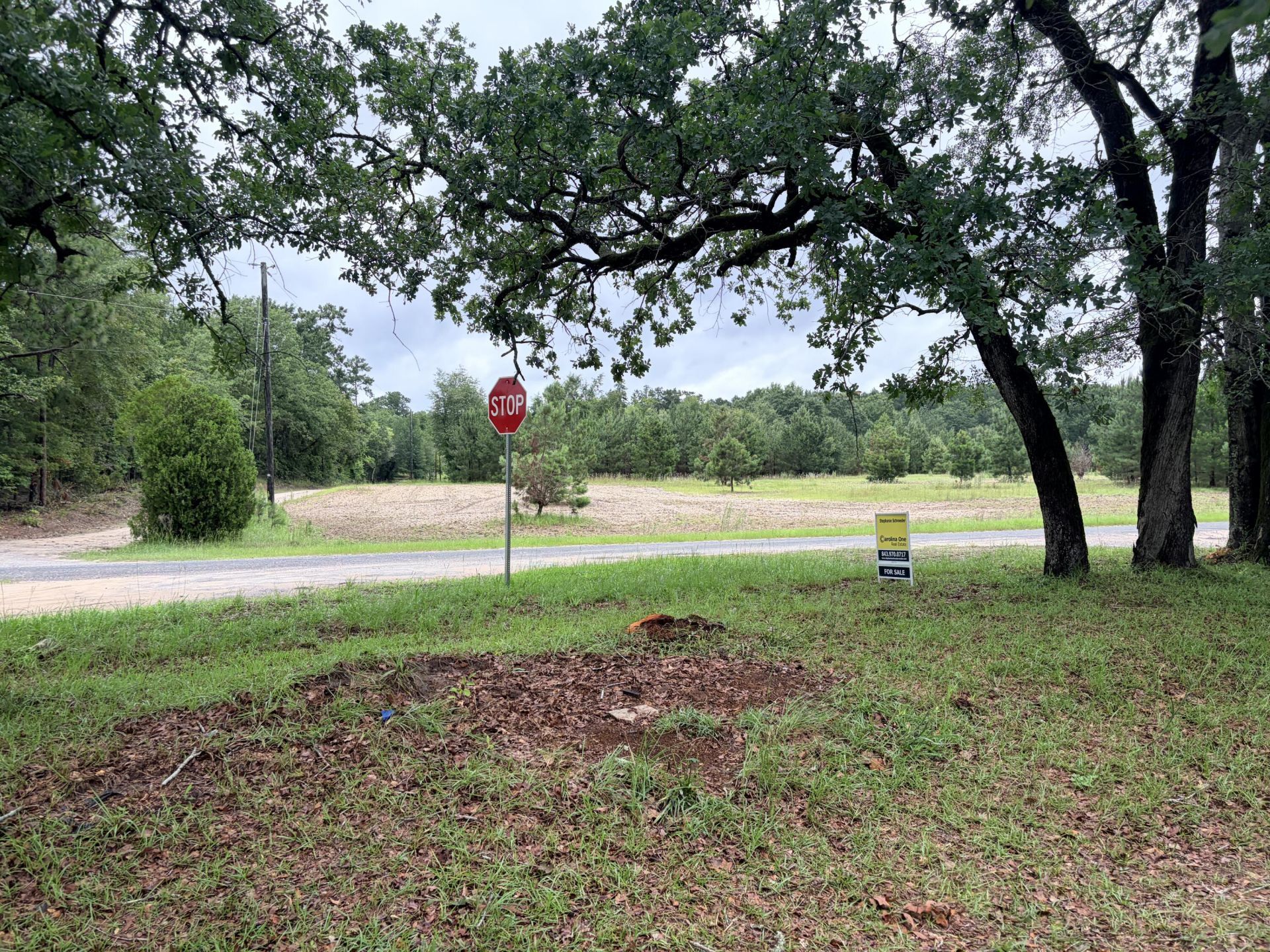 1147 Boiling Springs Road Photo 50