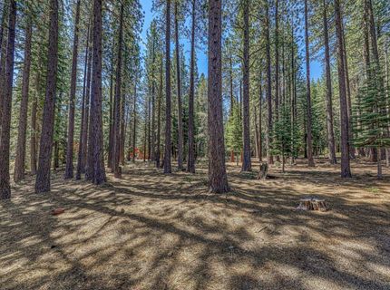 15961 Northwoods Boulevard, Truckee, CA 96161 Photo