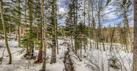 1018 Snow Crest Road, Alpine Meadows, CA 96146 Photo