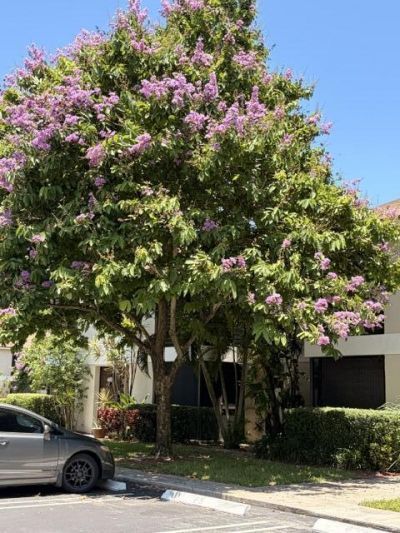 111 Gardens Drive, Unit 102, Pompano Beach, FL 33069 Photo