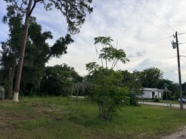 Cr 604, Bushnell, FL 33513 Photo