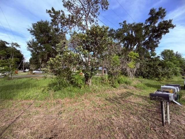 Cr 604, Bushnell, FL 33513 Photo