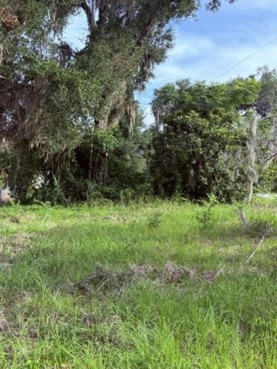 Cr 604, Bushnell, FL 33513 Photo