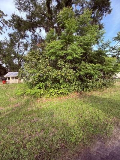 Cr 604, Bushnell, FL 33513 Photo