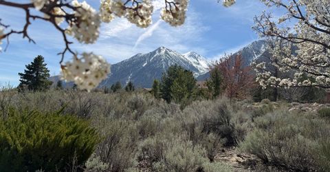 1030 Lakeside Drive, Gardnerville, NV 89460 Photo