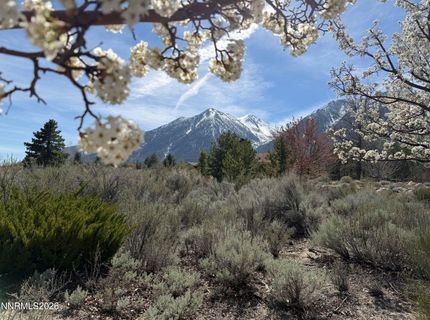 1030 Lakeside Drive, Gardnerville, NV 89460 Photo