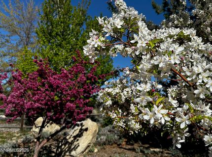1030 Lakeside Drive, Gardnerville, NV 89460 Photo