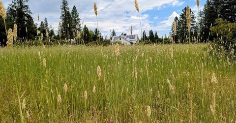 12998 Tyler Foote Rd, Nevada City, CA 95959 Photo