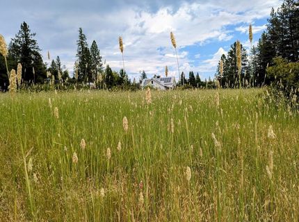12998 Tyler Foote Rd, Nevada City, CA 95959 Photo