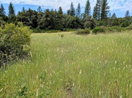 12998 Tyler Foote Rd, Nevada City, CA 95959 Photo