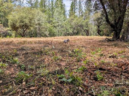 12998 Tyler Foote Rd, Nevada City, CA 95959 Photo