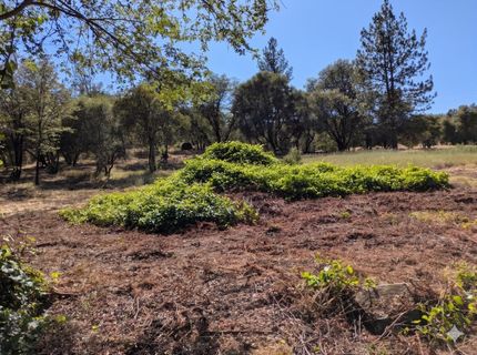 12998 Tyler Foote Rd, Nevada City, CA 95959 Photo