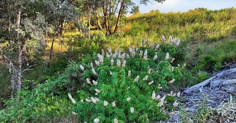 12998 Tyler Foote Rd, Nevada City, CA 95959 Photo