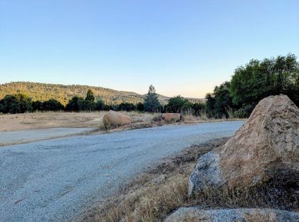 12998 Tyler Foote Rd, Nevada City, CA 95959 Photo