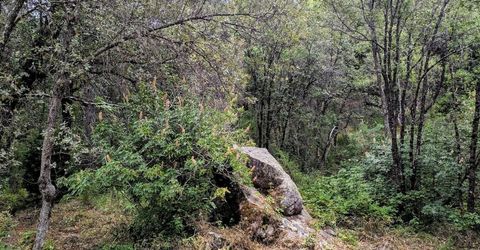 12998 Tyler Foote Rd, Nevada City, CA 95959 Photo