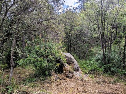 12998 Tyler Foote Rd, Nevada City, CA 95959 Photo