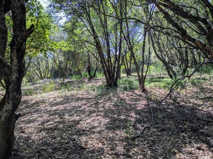 12998 Tyler Foote Rd, Nevada City, CA 95959 Photo