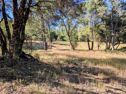 12998 Tyler Foote Rd, Nevada City, CA 95959 Photo