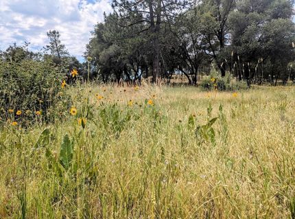 12998 Tyler Foote Rd, Nevada City, CA 95959 Photo