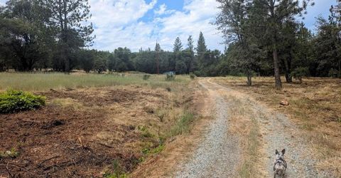 12998 Tyler Foote Rd, Nevada City, CA 95959 Photo
