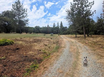12998 Tyler Foote Rd, Nevada City, CA 95959 Photo