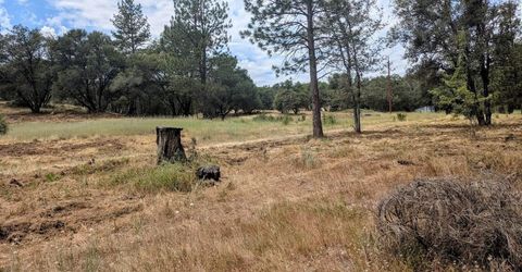 12998 Tyler Foote Rd, Nevada City, CA 95959 Photo