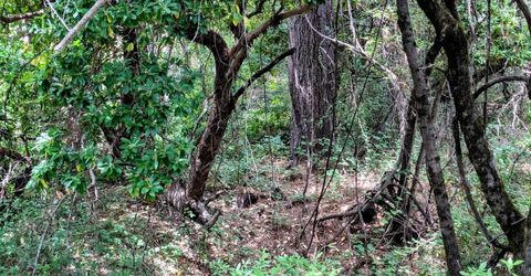 12998 Tyler Foote Rd, Nevada City, CA 95959 Photo
