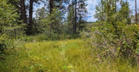 12998 Tyler Foote Rd, Nevada City, CA 95959 Photo