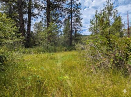 12998 Tyler Foote Rd, Nevada City, CA 95959 Photo